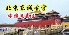 大鸡鸡操中国北京-东城古宫旅游风景区
